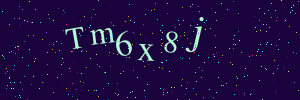 Validation image
