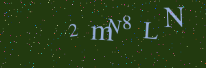 Validation image